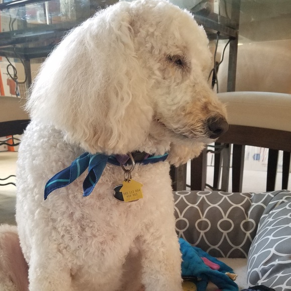 CHANCEY WOW!! 30LBS Weight Loss Time For A Trim❤❤ - Picture 4 of 7